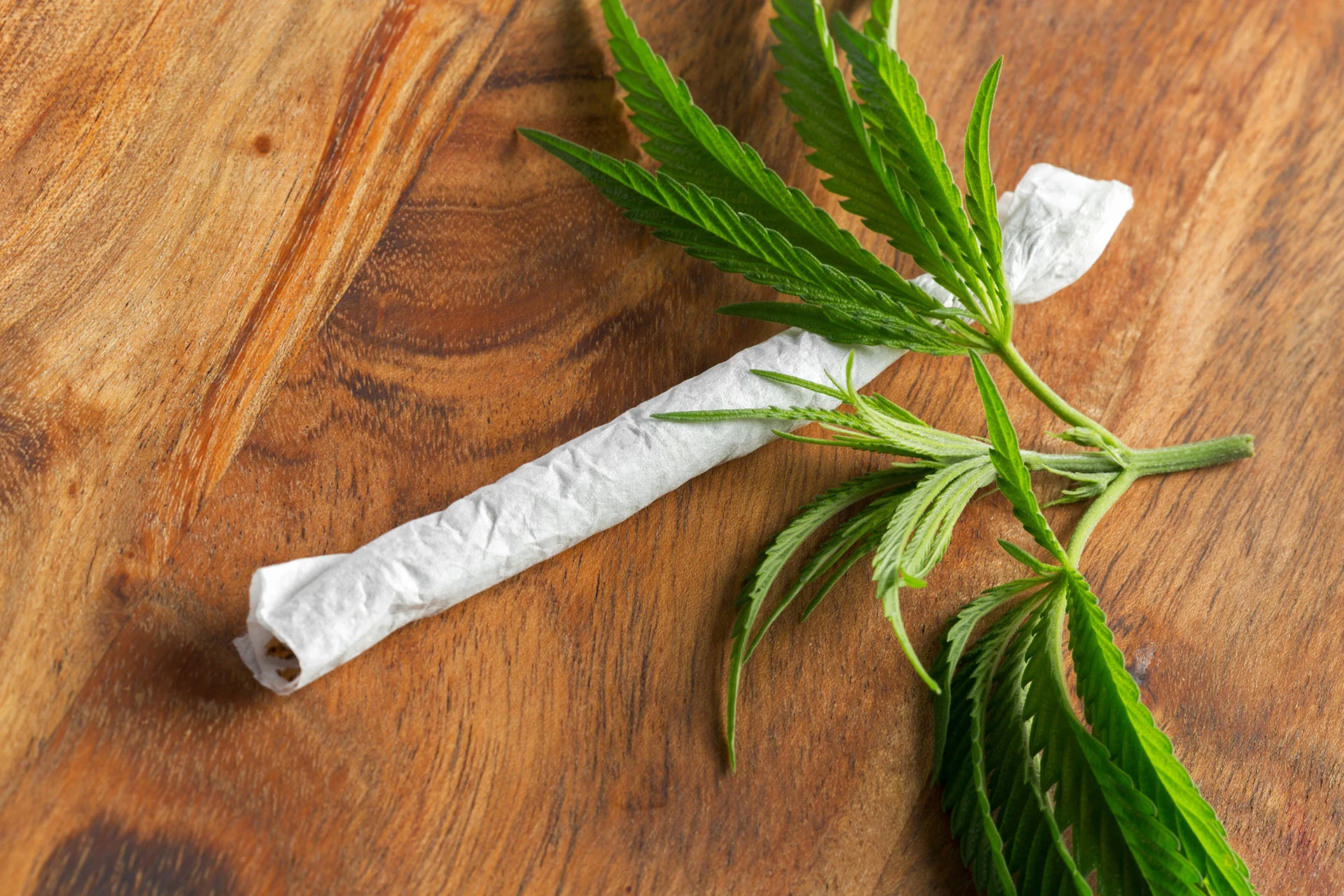 Cannabidiol Eases Epileptic Seizures: Study